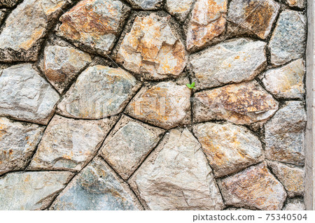 stone wall background and texture with green weed. 75340504