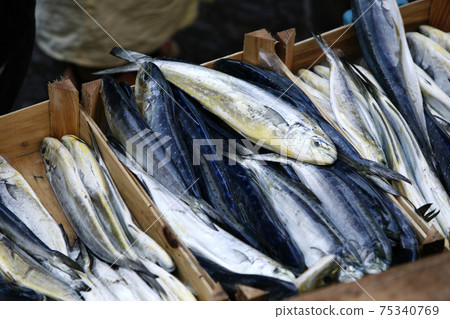 ITALY SICILY CATANIA 75340769