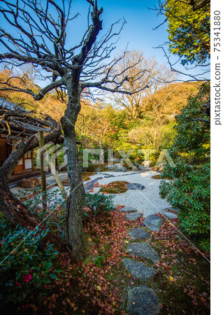Autumn in the ancient city of Kamakura, Jomyoji Temple (Kamakura Gozan) Garden Autumn in the ancient city of Kamakura, Jomyoji Temple (Kamakura Gozan) Garden 75341880