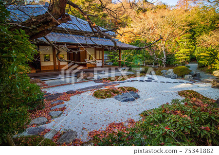 Autumn in the ancient city of Kamakura, Jomyoji Temple in autumn colors (Kamakura Gozan) Kisen-an and garden Autumn in the ancient city of Kamakura, Jomyoji Temple in autumn colors (Kamakura Gozan) Kisen-an and garden 75341882