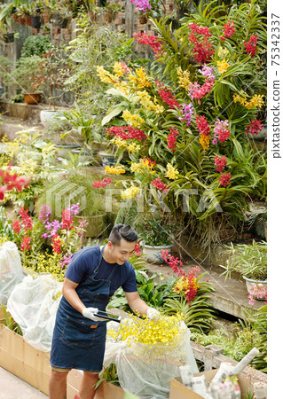 Flower nursery worker Flower nursery worker 75342337