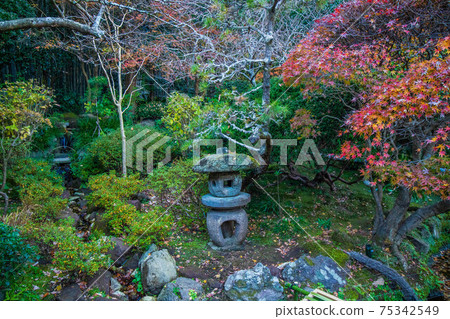 Autumn leaves in the ancient city of Kamakura, Hokokuji Garden 75342549
