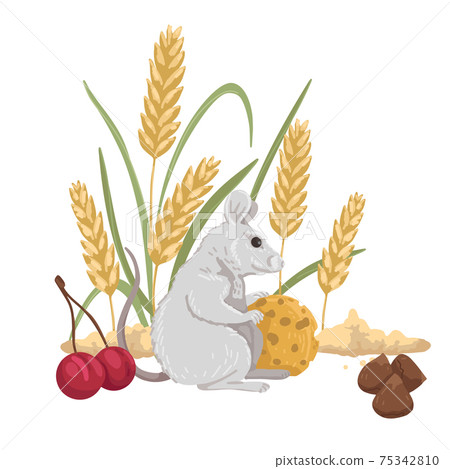 harvest mouse, mouse food, pet food, grains, berries, cheese and nuts. Vector cartoon illustration harvest mouse, mouse food, pet food, grains, berries, cheese and nuts. Vector cartoon illustration 75342810