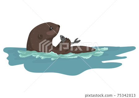 Otter on the hunt, holding and eating fish, swimming on its back, cute predatory wild animal, vector character. Otter on the hunt, holding and eating fish, swimming on its back, cute predatory wild animal, vector character. 75342813