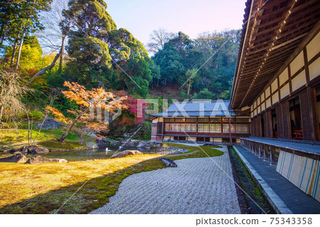 Autumn in the ancient city of Kamakura, Engakuji Temple (Kamakura Gozan), Hojo Garden 75343358