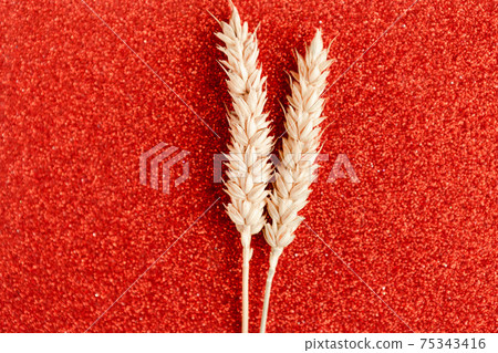 Two wheat ears on bright color background. Agriculture concept in minimalism style. Copy space for the text Two wheat ears on bright color background. Agriculture concept in minimalism style. Copy space for the text 75343416