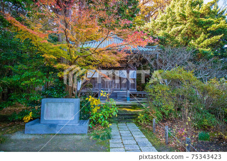 Autumn in the ancient city of Kamakura, Ankokuronji Temple in autumn colors, Gokoan Autumn in the ancient city of Kamakura, Ankokuronji Temple in autumn colors, Gokoan 75343423
