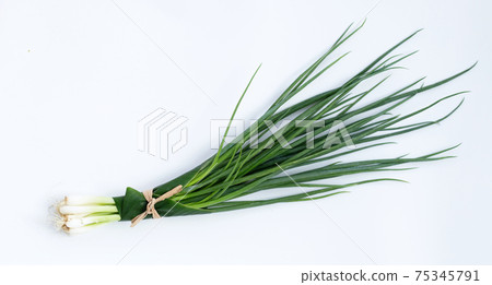 Spring onion on white background. 75345791