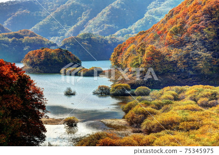 伊卡里湖的秋天 75345975