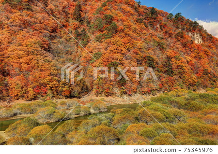 伊卡里湖的秋天 75345976