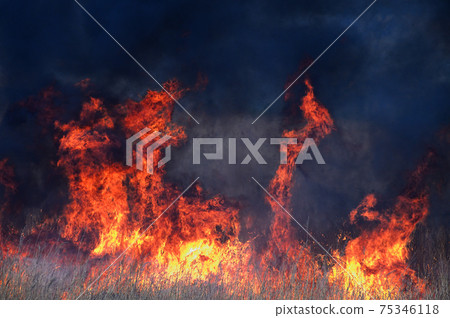 flame flame 75346118