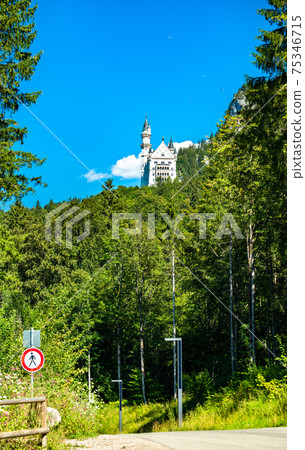 Neuschwanstein Castle in the Bavarian Alps, Germany Neuschwanstein Castle in the Bavarian Alps, Germany 75346715