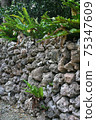 A stone wall found in the Ryukyu limestone of Okinawa 75347609