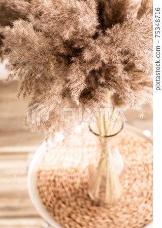 Beauty in simple details of floral design Beauty in simple details of floral design 75348716
