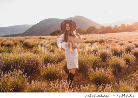 The extraordinary day on a lavender plantation 75349102
