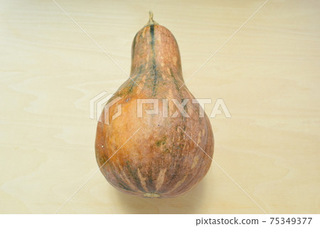 島南瓜(沖繩) 島南瓜(沖繩) 75349377