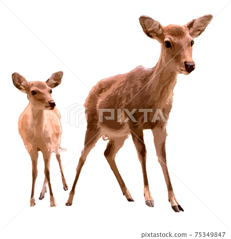 Deer parent and child (photoreal) Deer parent and child (photoreal) 75349847