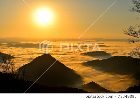 大江山的福知山盆地的雲海 75349883