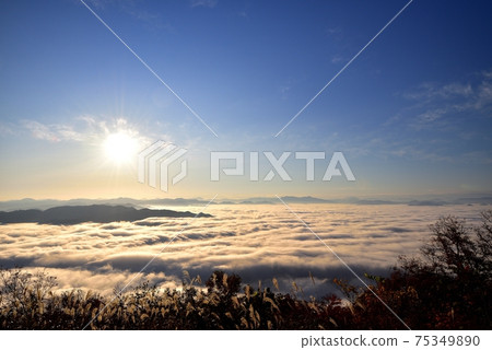 豐岡山的雲海 豐岡山的雲海 75349890