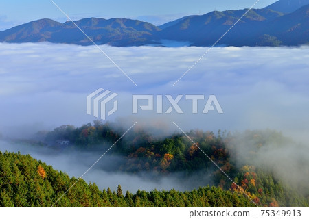 Sea of clouds in the Kameoka basin Sea of clouds in the Kameoka basin 75349913