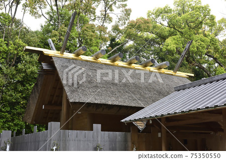 伊勢神宮奈久別府月見之宮(Tsukiyomi-n-miya) 伊勢神宮奈久別府月見之宮(Tsukiyomi-n-miya) 75350550