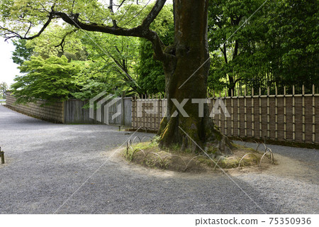 Katsura Imperial Villa Takegaki 75350936