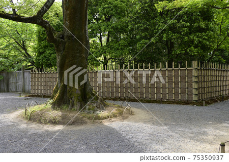 Katsura Imperial Villa Takegaki 75350937