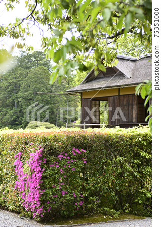 Katsura Rikyu Ikeizumi Walkable garden Katsura Rikyu Ikeizumi Walkable garden 75351000