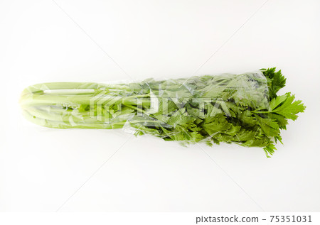 芹菜袋 芹菜袋 75351031