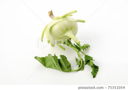 Kohlrabi 75351054