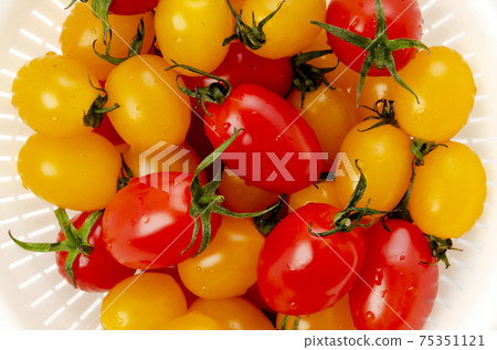 迷你番茄愛子 迷你番茄愛子 75351121