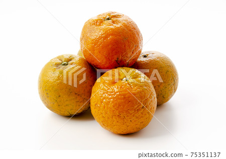 Tankan Tankan 75351137