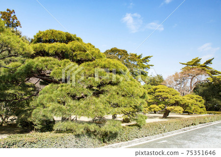 伊勢神宮奈久史嫩 伊勢神宮奈久史嫩 75351646