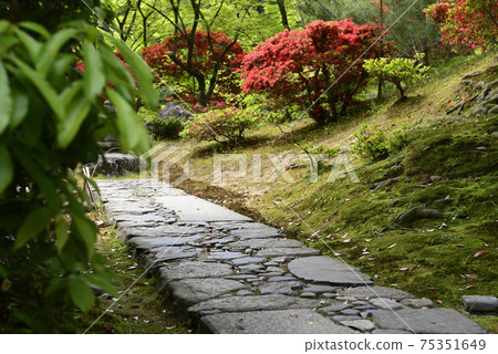 Katsura Rikyu outside the front stool "Stretching the line" Katsura Rikyu outside the front stool "Stretching the line" 75351649