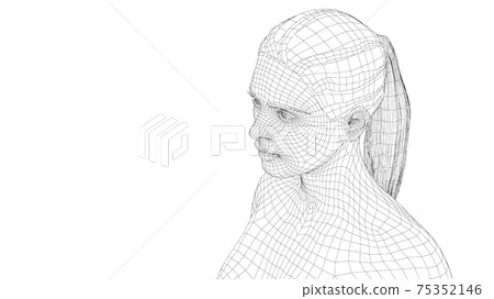 Wireframe portrait of a young beautiful girl Wireframe portrait of a young beautiful girl 75352146