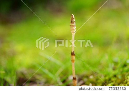 田久實1 田久實1 75352380