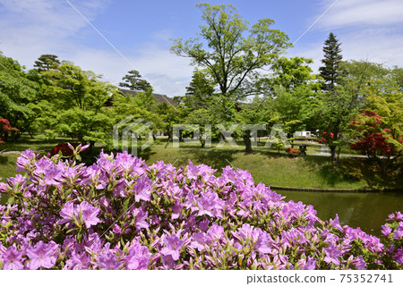 桂皇家別墅初夏的池塘春天漫步的花園 桂皇家別墅初夏的池塘春天漫步的花園 75352741