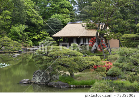 Katsura Rikyu Song Shinkintei Katsura Rikyu Song Shinkintei 75353002