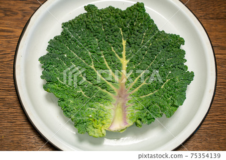 Chirimen cabbage Chirimen cabbage 75354139