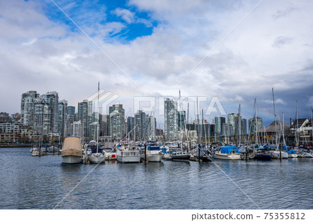 Vancouver marina, False Creek seen from Charleson Park. Vancouver buildings skyline in the background. 75355812