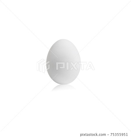 one white egg on white background one white egg on white background 75355951