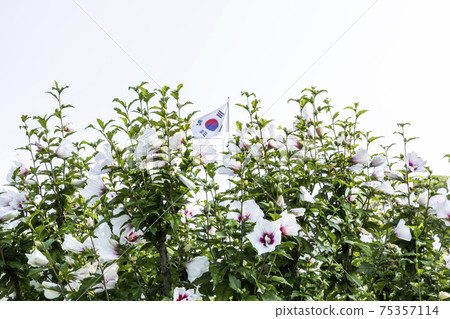 Mugunghwa and Taegeukgi 75357114