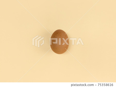 Brown egg on beige backdrop. Minimalist flat lay. Brown egg on beige backdrop. Minimalist flat lay. 75358616