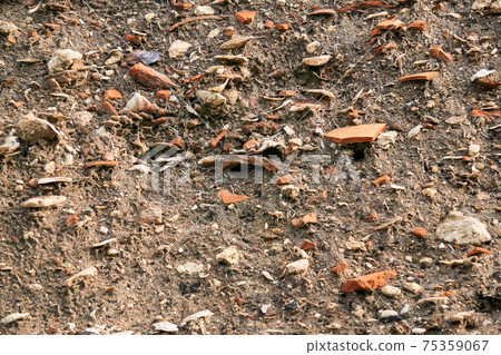 occupation earth - layers of ground with fragments of ancient pottery and shells under the sod layer 75359067