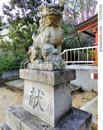 Okamoto Hachiman Shrine 75359162