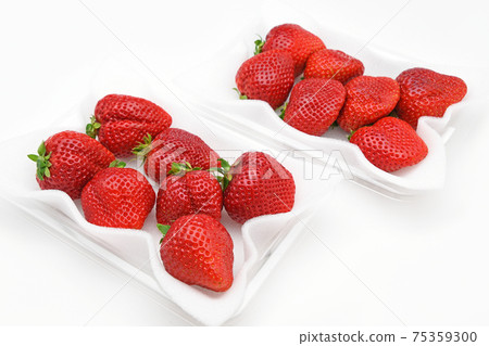 草莓(博多Amaou) 草莓(博多Amaou) 75359300