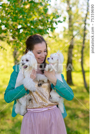 Puppy white dog with it's owner. Concept about friendship, animal and freedom. Puppy white dog with it's owner. Concept about friendship, animal and freedom. 75359690
