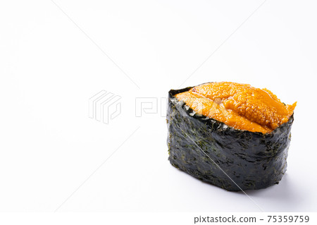 海膽軍艦白色背景 75359759