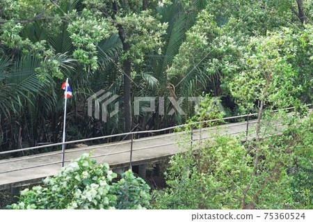 thailand, green, coast 75360524