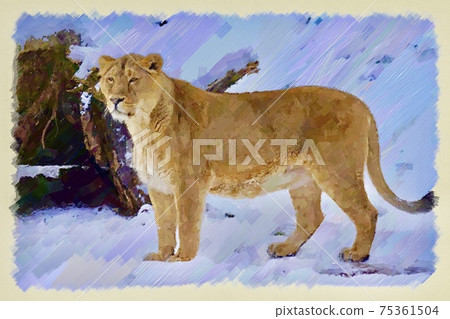Illustration style image of a lion Illustration style image of a lion 75361504